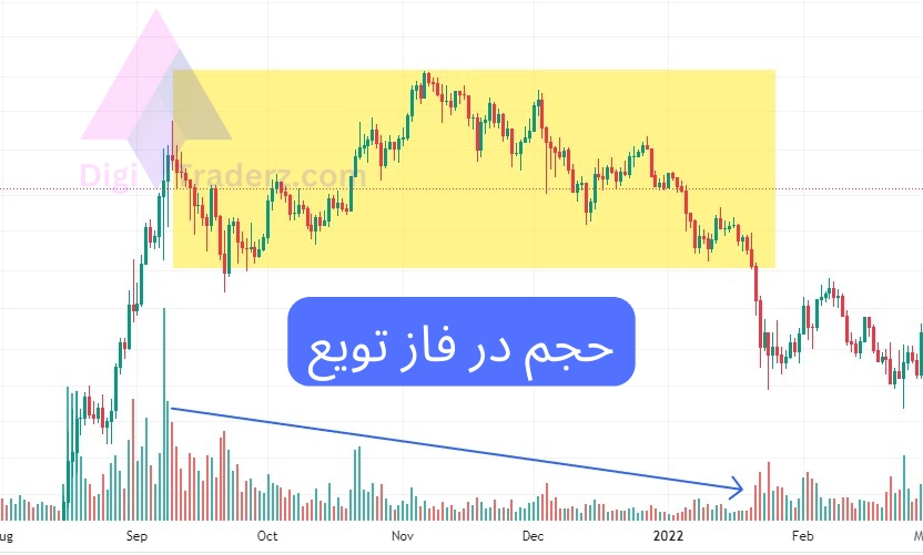 حجم در فاز توزیع