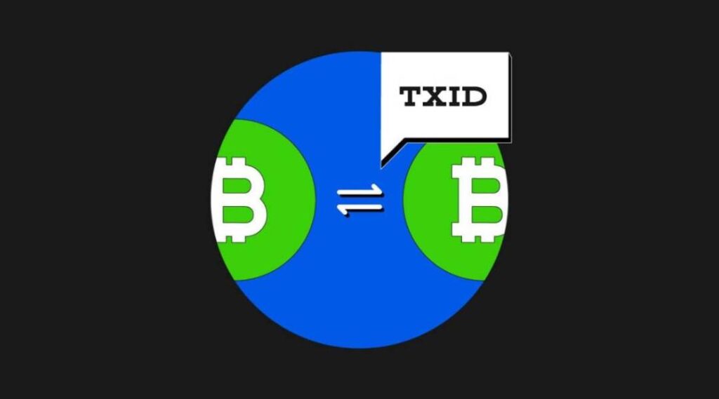 ❓ آموزش پیدا کردن شناسه txid در نوبیتکس #️⃣