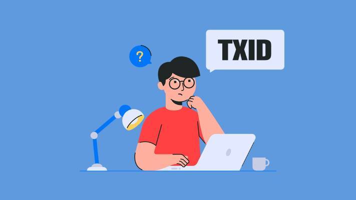 TXID چیست و چرا برای ما اهمیت دارد؟